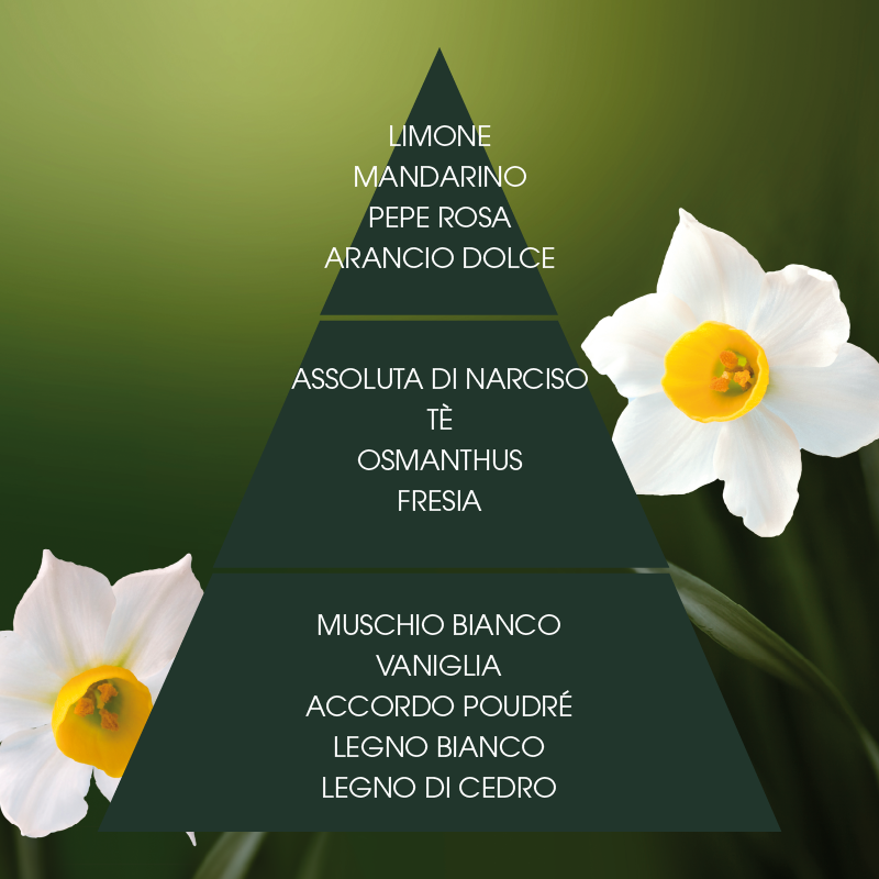 L'amande Deo spray Narciso supremo Saldi