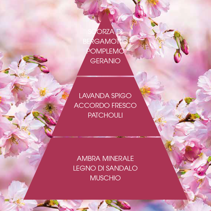 L'amande Deo spray Gemme rosse 2025