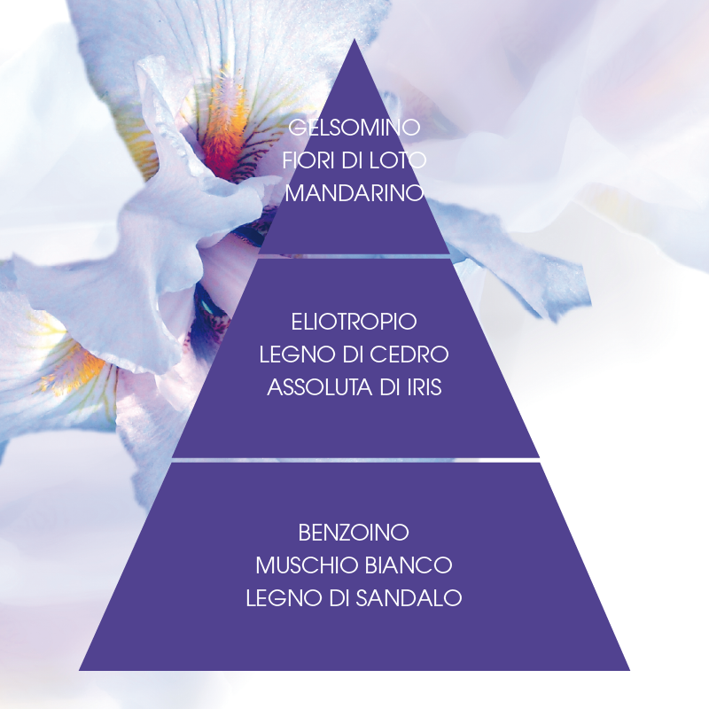 L'amande Crema corpo Iris supremo 2025