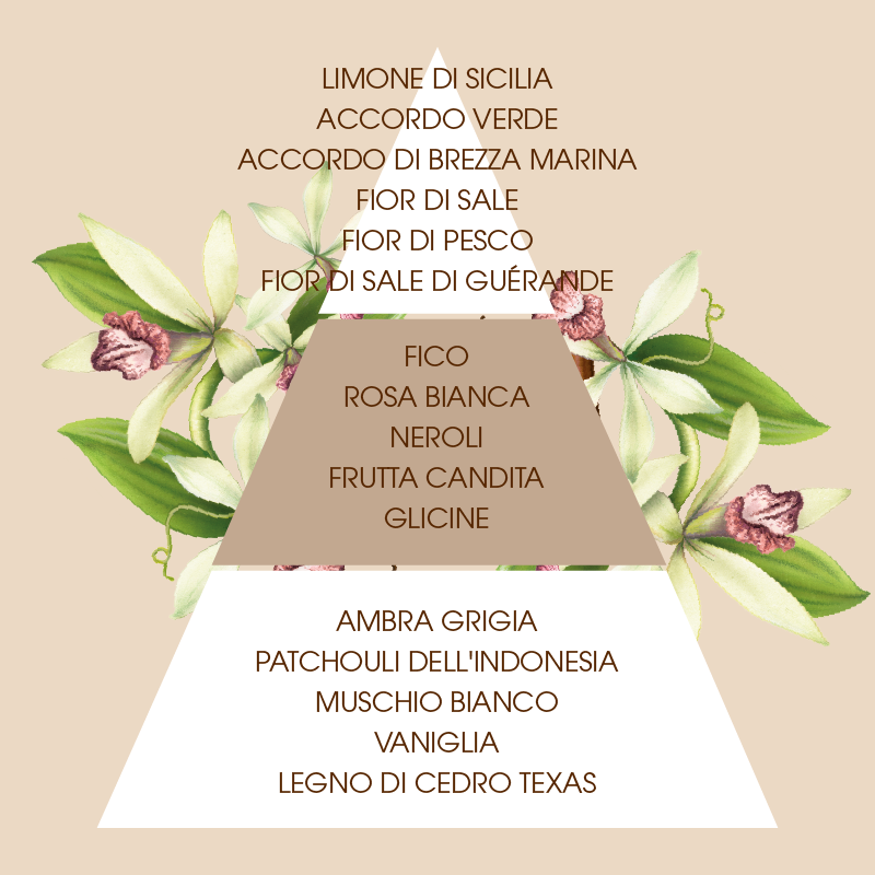 L'amande Crema corpo Fleur de Sel & Vanille Nuovo