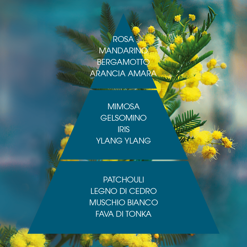 L'amande Crema corpo Mimosa suprema Convenienza