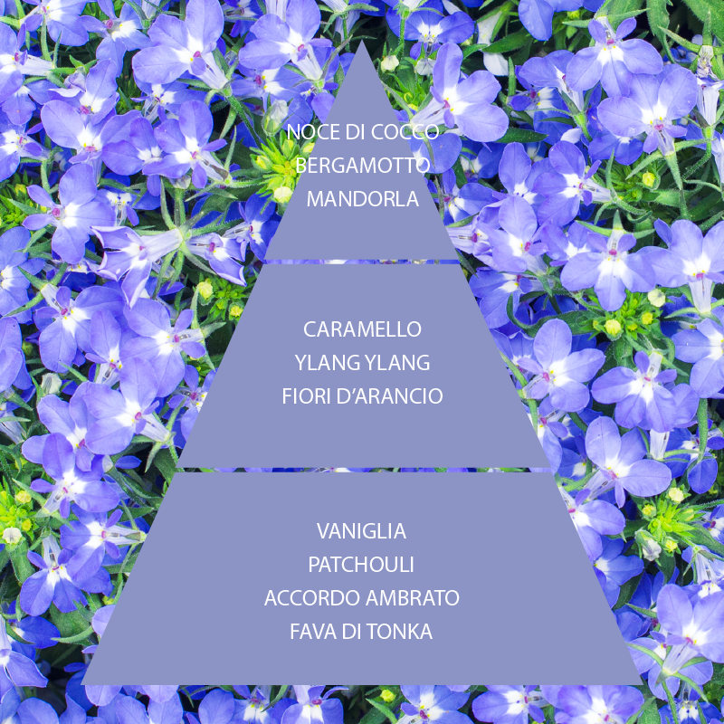 L'amande Crema corpo Fiori di Zaffiro In Vendita