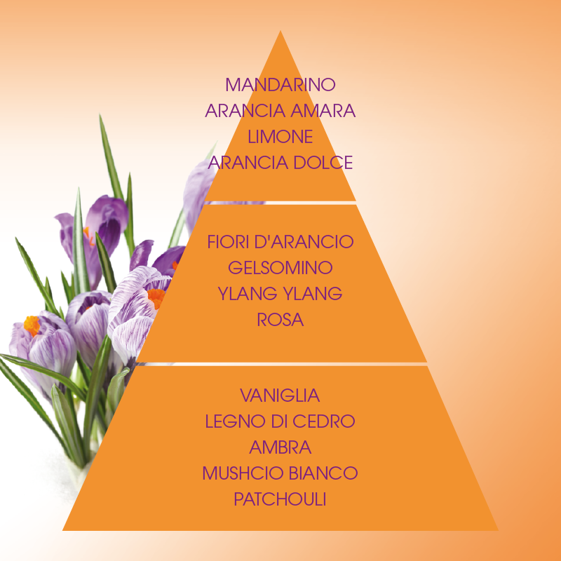 L'amande Sapone profumato Armonie Italia