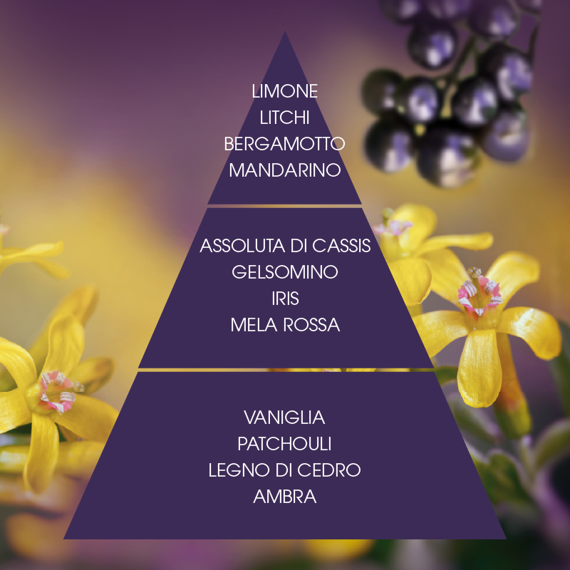 L'amande Eau de Parfum Cassis supremo Shopping Online