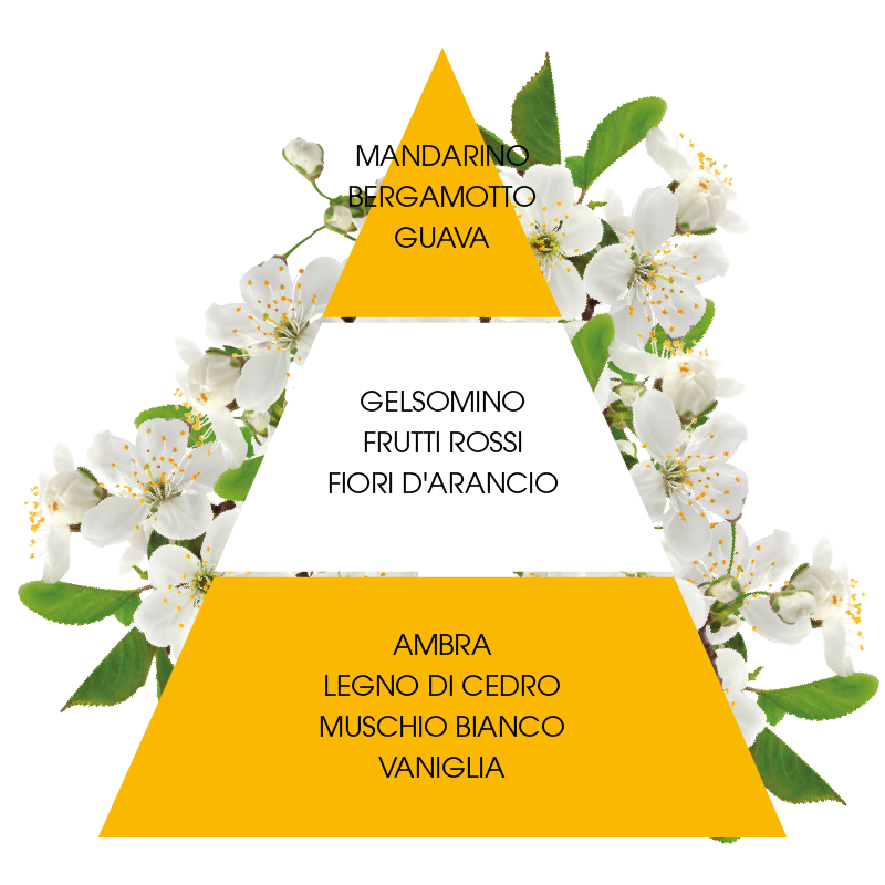 L'amande Profumatore per ambiente Fiori di ciliegio ACQUISTA ORA