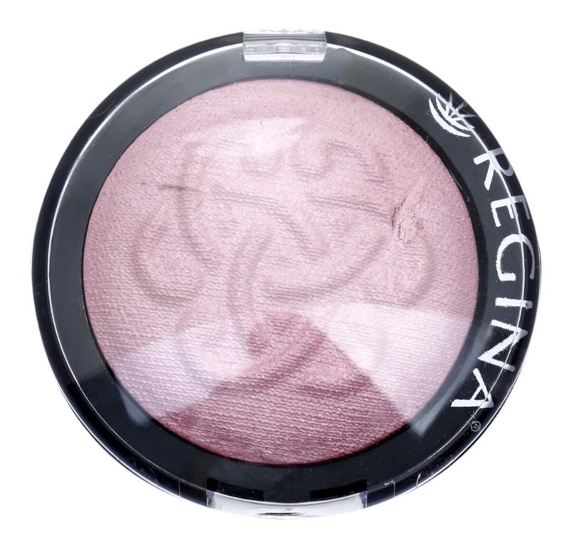 Regina Regina Colors blush Promozione