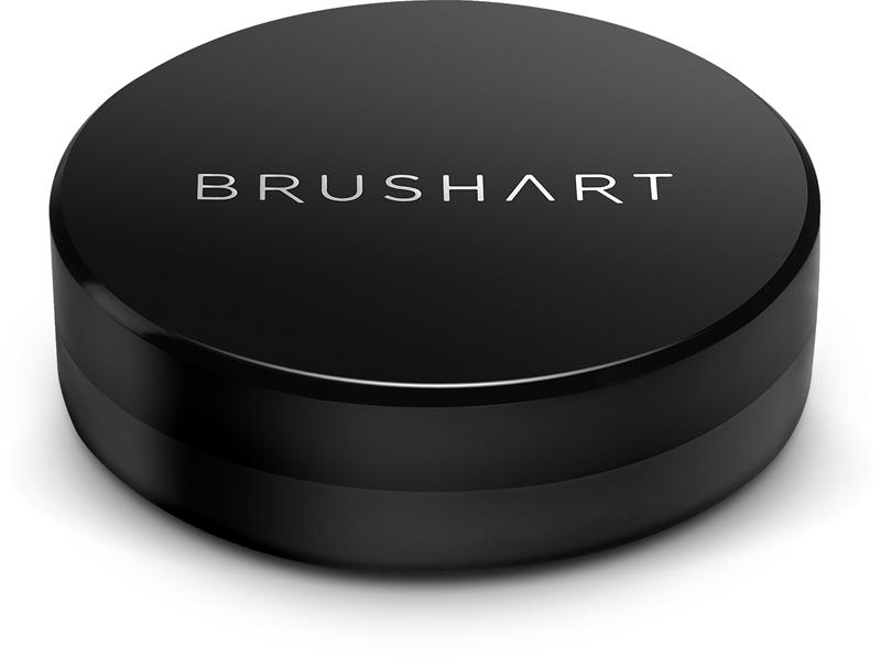 BrushArt BrushArt Professional Brush cleaning sponge Spugna per pulizia a secco Flash Sale