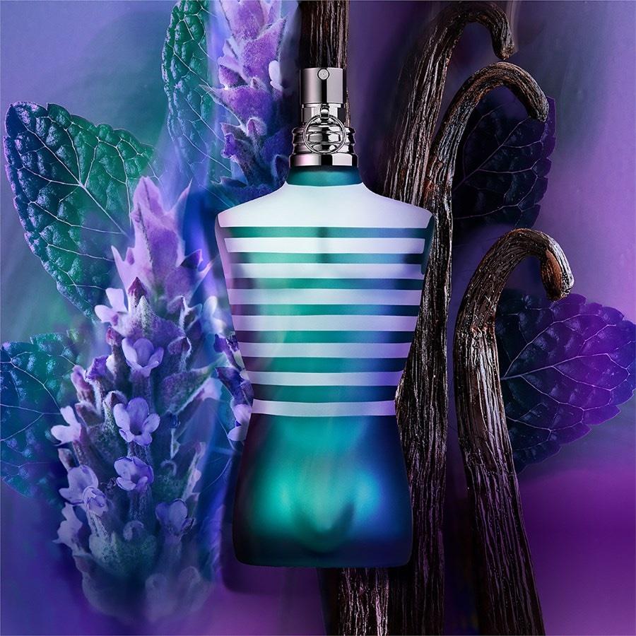 Jean Paul Gaultier Le Male Eau de Toilette Spray Comprare a buon mercato